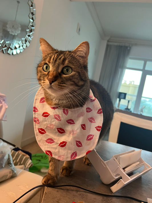 Baby bib
